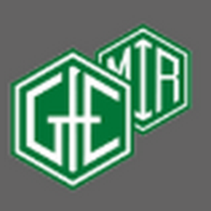 GfE-MIR Logo